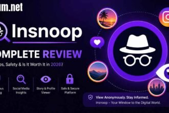 Insnoop: The Complete Guide to Anonymous Instagram Story Viewing